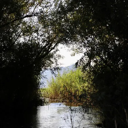 Jg Sunny Balcony Skadar Appartamento
